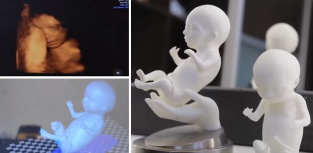 3Dprinter models reveal mysteries of life